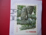 Stamps United States -  Balsam Fir (Forever) (Pino Balsámici)
