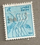 Stamps Africa - Egypt -  Aves