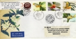 Stamps China -  Carta circulada de China a México primer día de emisión -fdc-Sweet Osmanthus