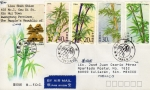 Stamps : Asia : China :  Carta circulada de China a México primer día de emisión-fdc-Bamboo.