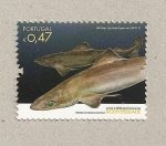 Stamps Portugal -  Año de la biodiversidad