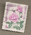 Stamps Egypt -  Rosa