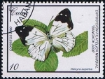 Stamps Cuba -  Scott  4062  Helcyra superba
