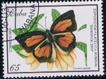 Stamps Cuba -  Scott  4065  Curetis acuta
