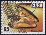 Stamps Cuba -  Scott  4162  Mytius edulis