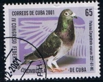 Stamps Cuba -  Scott  4181  Paloma empedrado oscuro