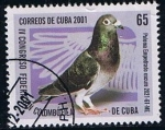 Sellos de America - Cuba -  Scott  4181  Paloma empedrado oscuro