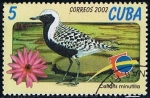 Sellos de America - Cuba -  Scott  4235  Calidris Minutilla