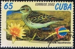 Stamps Cuba -  Scott  4238  Plurialis squatarola