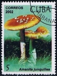 Stamps Cuba -  Scott  4327  Amanita junquillea