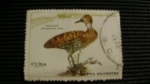 Stamps Cuba -  0000