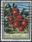 Stamps Italy -  FRUTOS Y FLORES. MANZANAS