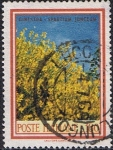 Stamps Italy -  FLORES Y ÁRBOLES. ESCOBA