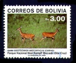 Sellos del Mundo : America : Bolivia : Gama Ozotoceros Bezcarticus (Ciervos)