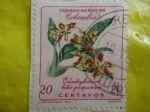 Stamps Colombia -  Odontoglossuno lutro purpureum