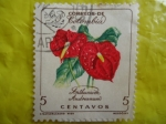Stamps Colombia -  Anthurium Andreanum - nturios.