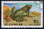 Stamps North Korea -  Scott  3139  Rana arvalis