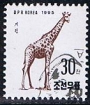 Stamps North Korea -  Scott  3498  Giralfa