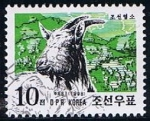 Sellos de Asia - Corea del norte -  Scott  3806  Cabras coreanas