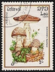 Stamps : Asia : Laos :  SETAS-HONGOS: 1.174.004,01-Amanita rubescens -Phil.47562-Dm.985.32-Y&T.636-Mch.831-Sc.630