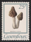 Stamps Europe - Luxembourg -  SETAS-HONGOS: 1.180.014,00-Morchella favosa
