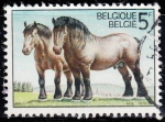 Stamps : Europe : Belgium :  Caballos	