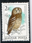 Sellos del Mundo : Europa : Hungra : AVES.  MAGYAR POSTA