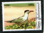 Stamps Cambodia -  AVES.  STEMA HIRUNDO 