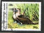 Stamps : Asia : Cambodia :  AVES.  SULA PABOUXIL