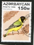 Stamps Asia - Azerbaijan -  AVES.  ORIOLUS  XANTHORNUS