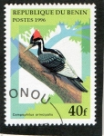 Stamps : Africa : Benin :  AVES.  CAMPEPHILUS  PRINCIPALIS