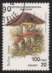 Stamps : Africa : Madagascar :  SETAS-HONGOS: 1.182.002,01-Suillus luteus -Phil.47152-Dm.990.96-Y&T.1008-Mch.1289-Sc.1001D