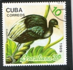 Stamps : America : Cuba :  AVES.  PSOPHIA  LEUCOPTERA