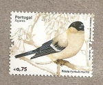 Sellos de Europa - Portugal -  Pájaro Priolo de las Açores