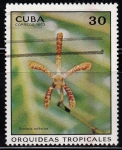 Stamps Cuba -  Orquideas Tropicales	