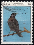 Stamps : America : Cuba :  Aves Endémicas. Toti	