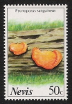 Stamps America - Saint Kitts and Nevis -  SETAS-HONGOS: 1.198.012,00-Pycnoporus sanguineus