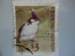 Stamps : America : Hong_Kong :  Red Whiskered Bulbul (Pycnonotus Jocosus)
