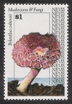 Stamps America - Saint Kitts and Nevis -  SETAS-HONGOS: 1.198.025,00-Boletellus cubensis