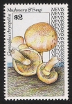 Stamps America - Saint Kitts and Nevis -  SETAS-HONGOS: 1.198.026,00-Gymnopilus chrysopellus