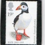 Stamps United Kingdom -  1363- AVES. OCIEDAD PROTECTORA ANIMALES.  PAJAROS.