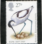 Stamps United Kingdom -  1364- AVES.  SOCIEDAD PROTECTORA ANIMALES. PAJAROS. 