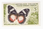 Stamps Madagascar -  Mariposa