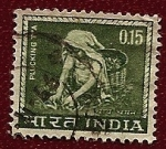 Stamps India -  Recolectando Té
