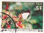 Stamps Comoros -  flores