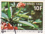 Sellos del Mundo : Europe : Comoros : flores