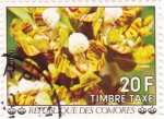 Stamps Africa - Comoros -  flores