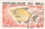 Stamps Africa - Mali -  peces