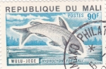 Stamps : Africa : Mali :  peces