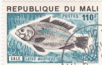 Stamps : Africa : Mali :  peces